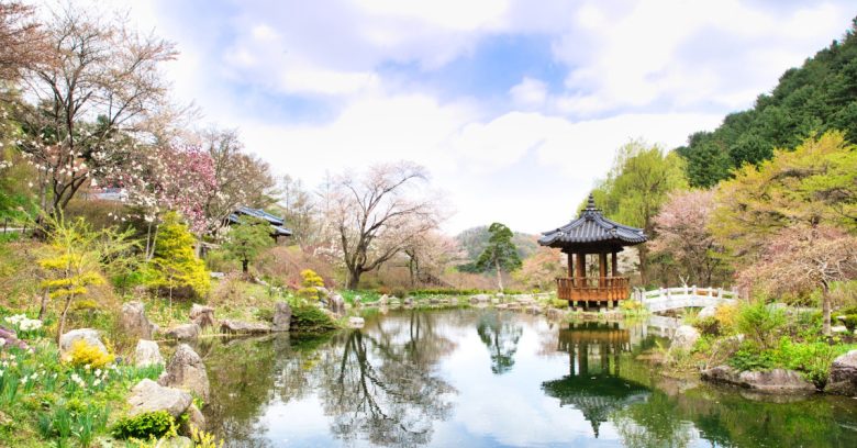image of trees with a lake.