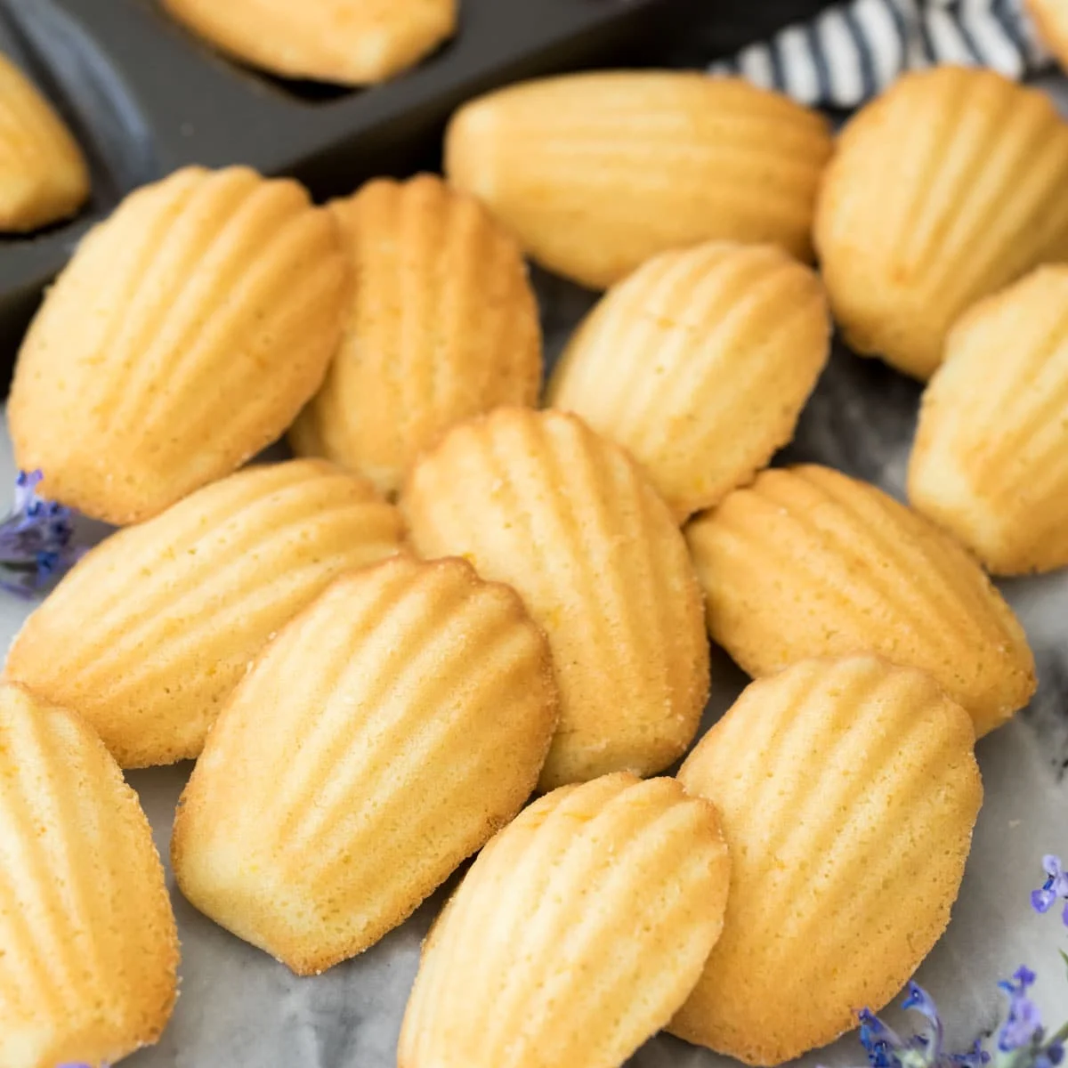 Classic French madeleines arranged on a plate