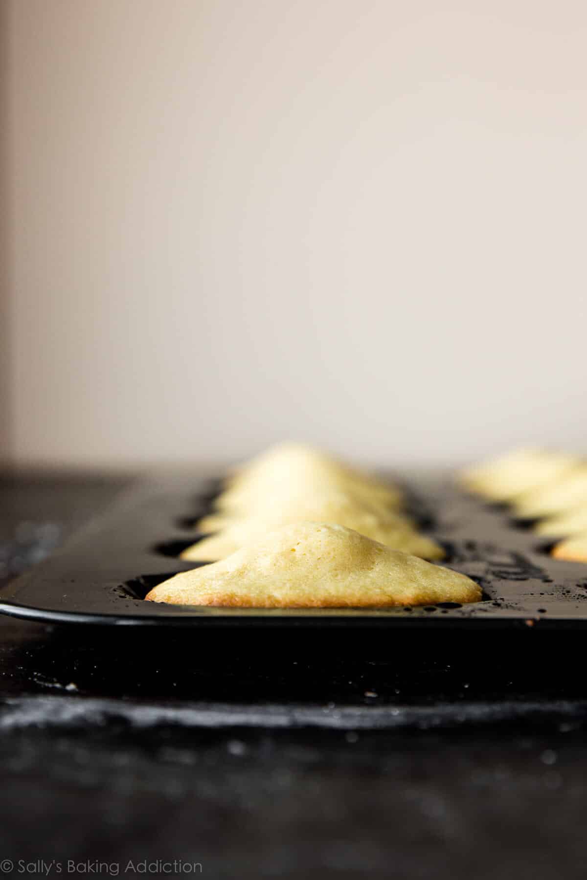 Madeleines baking